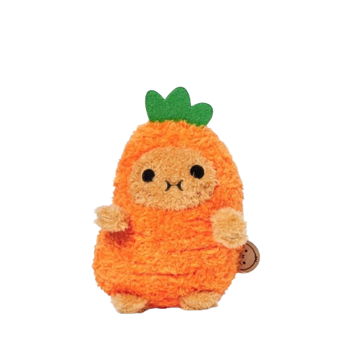 Ricepud Carotte - NOODOLL